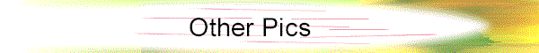 inmbanna7.gif (8784 bytes)